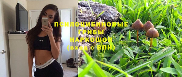 трава Беломорск