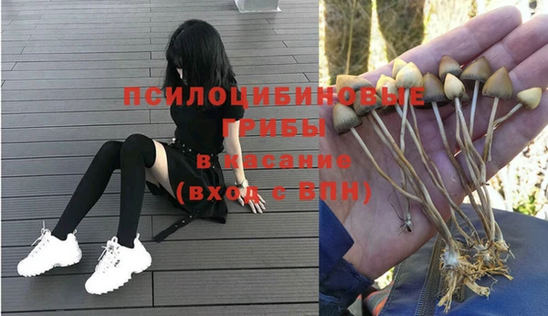 дурь Белоозёрский