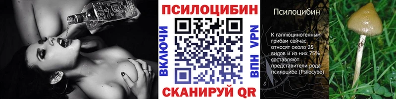 Галлюциногенные грибы Cubensis  Шахунья 